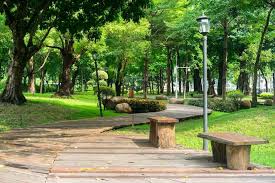 Hutan & Udara Segar
